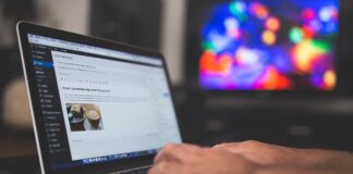 praca przez internet