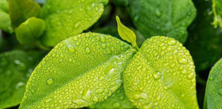 Czy segregacja śmieci ma wpływ na otaczające nas środowisko