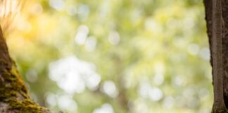 Jaka zdolność kredytową przy zarobkach 3000?