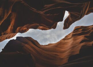 Jakie są formy prawne przedsiębiorstw?