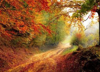 Kiedy spadek cen nieruchomości?