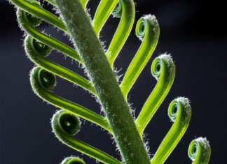 Dlaczego Revolut zamyka mi konto?