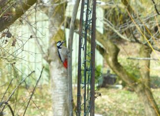 Ile jest dziedzin fizyki?