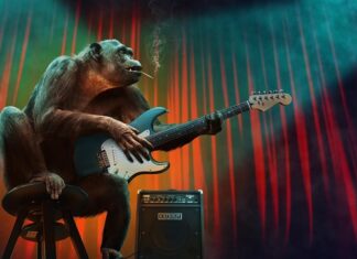 Jakie są etapy procesu decyzyjnego?