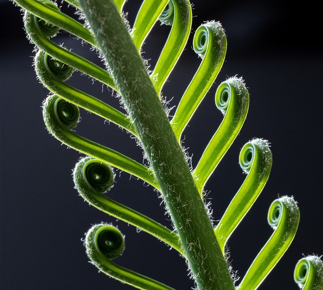 Czy jest coś lepszego niż Revolut? Czy jest coś lepszego niż Revolut?