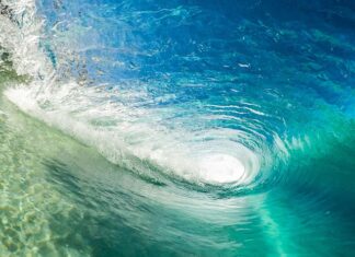 Na czym polega 1 zasadą dynamiki Newtona?