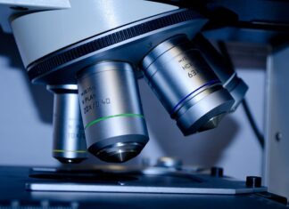 Czy są studia biznesowe?