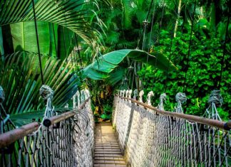 Ile kosztuje kurs z księgowości?