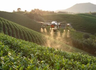 Jakie mamy dwa typy systemów finansowych?