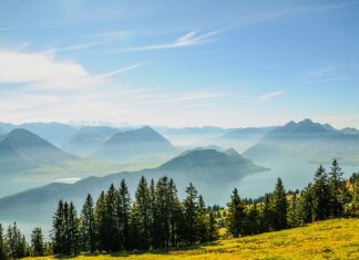 Czy komornik może wejść na konto Revolut?