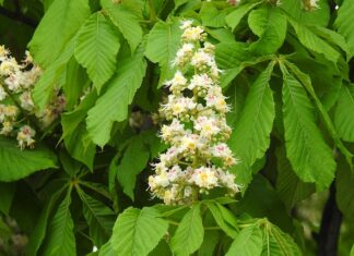 Jaka matura na księgowość?