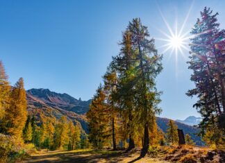 Jaki jest wzór na masę?