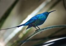 Co trzeba wiedzieć o fakturach? Co trzeba wiedzieć o fakturach?