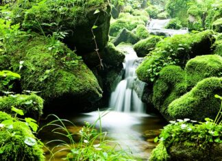 Co należy do strumieni materialnych finansów gospodarstw domowych?